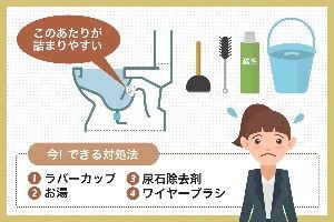 自分で出来るトイレつまりを簡単に直す6つの方法